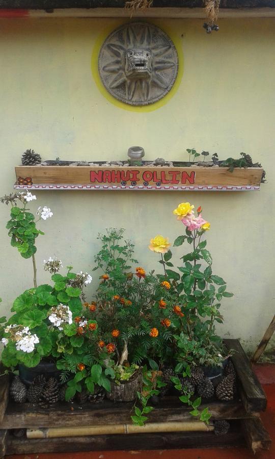 Hostal Nahui Ollin San Cristobal de las Casas Exterior photo